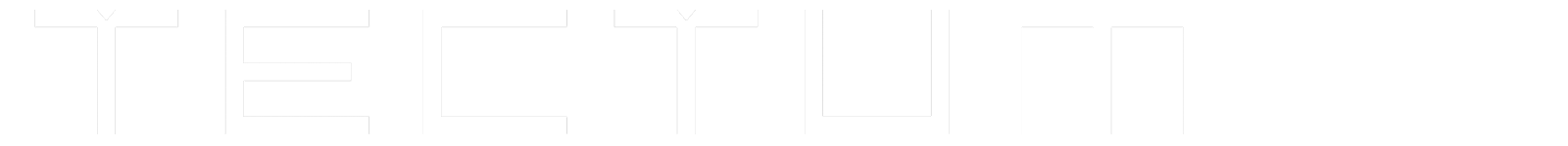 TECTUM Group